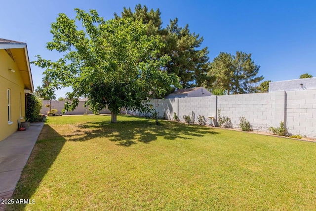 view of yard with a fenced backyard