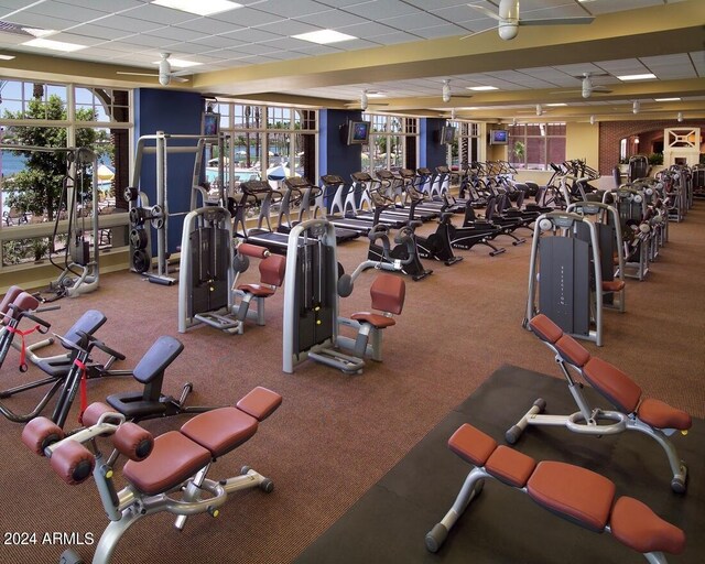 workout area with a paneled ceiling