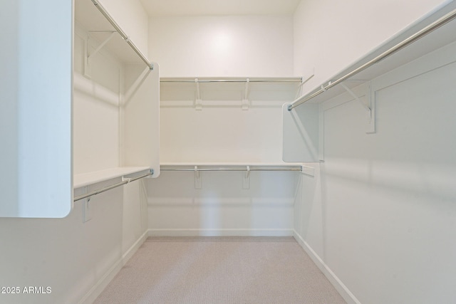 spacious closet with light colored carpet