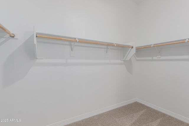 walk in closet with carpet