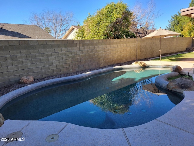 view of pool with a fenced backyard and a fenced in pool