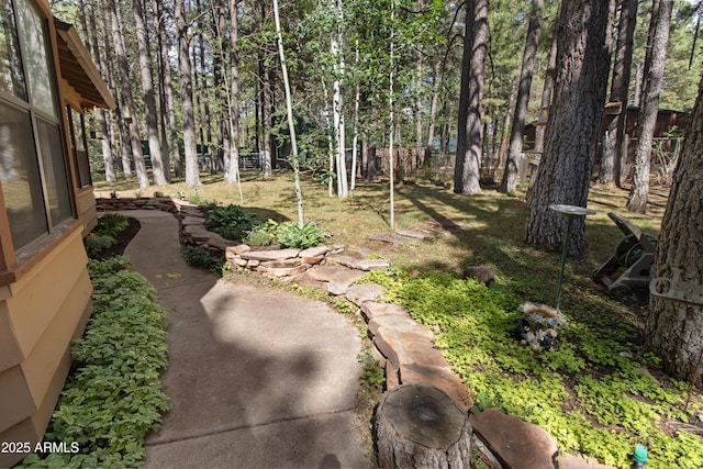 3910 Larson Loop, Forest Lakes, AZ 85931 - view of yard