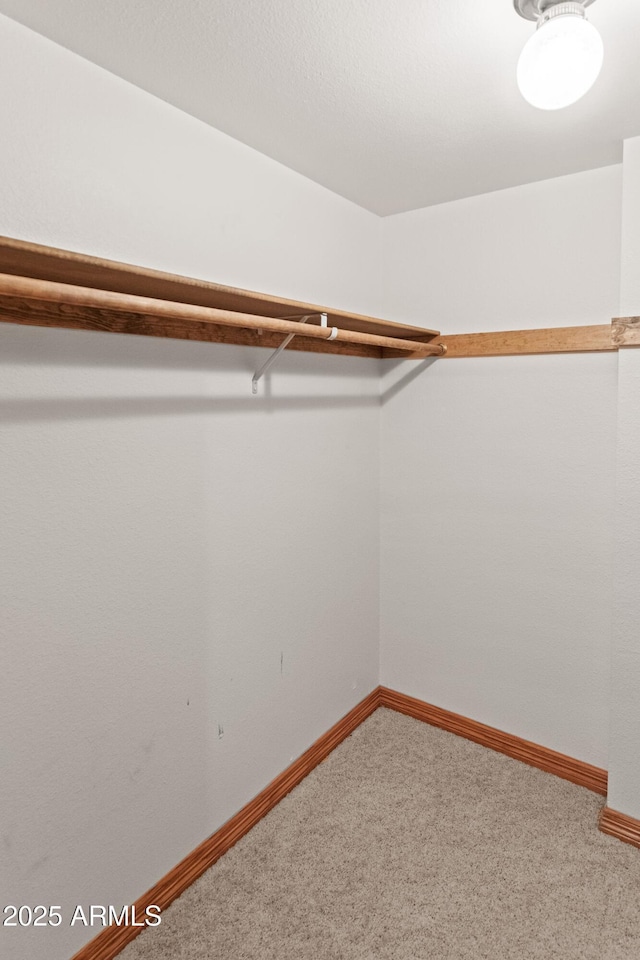 3910 Larson Loop, Forest Lakes, AZ 85931 - walk in closet featuring carpet flooring