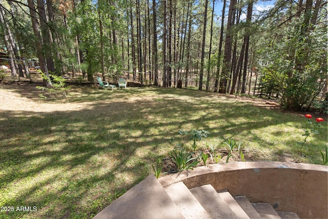 3910 Larson Loop, Forest Lakes, AZ 85931 - view of green lawn