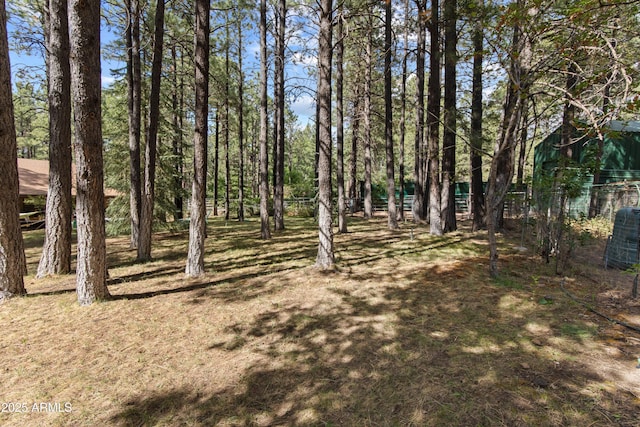 3910 Larson Loop, Forest Lakes, AZ 85931 - view of yard