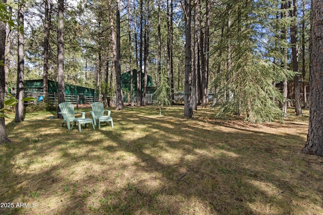 3910 Larson Loop, Forest Lakes, AZ 85931 - view of grassy yard