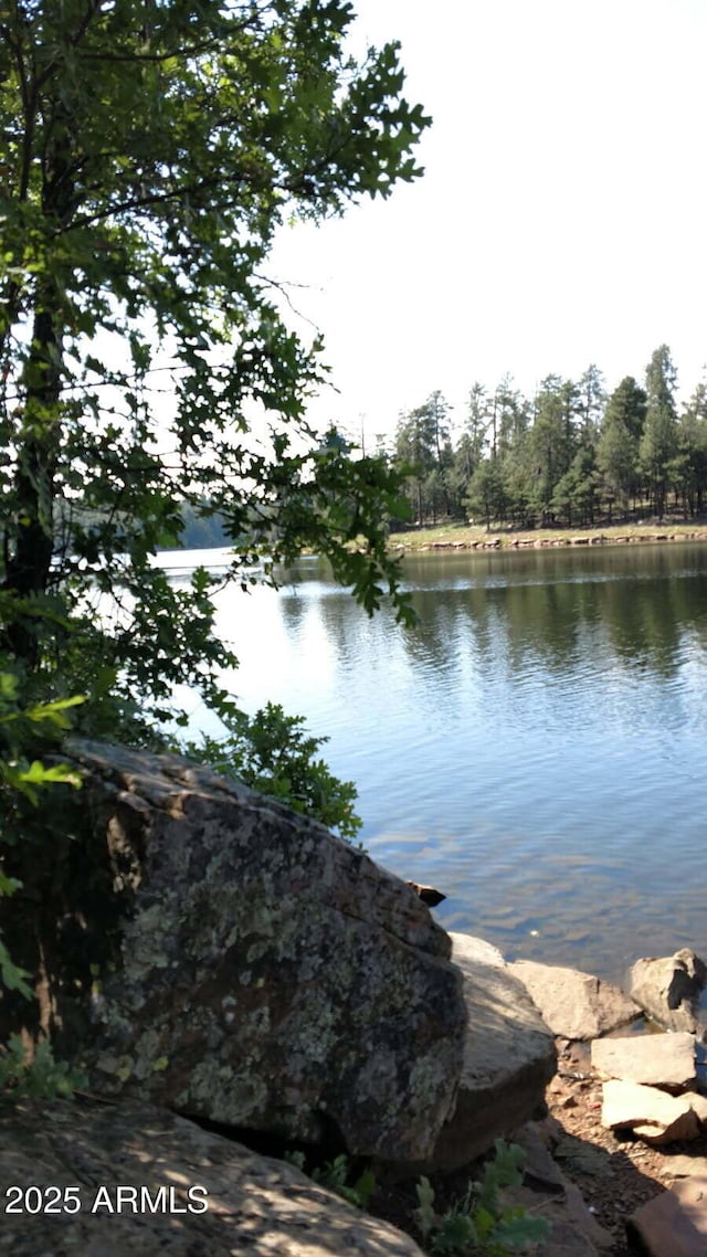 3910 Larson Loop, Forest Lakes, AZ 85931 - water view