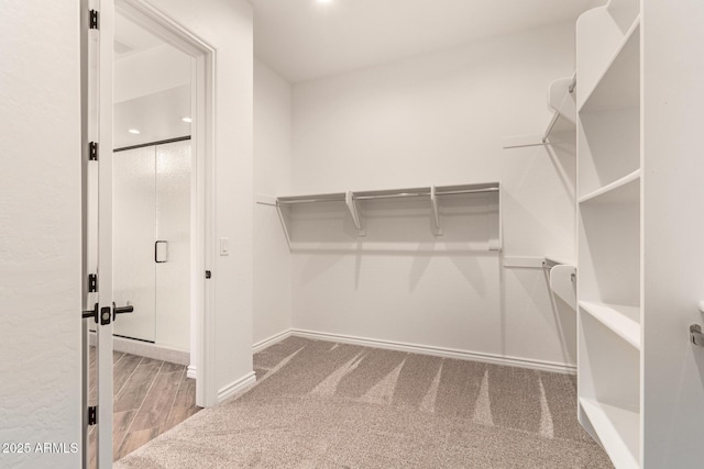 walk in closet with carpet floors