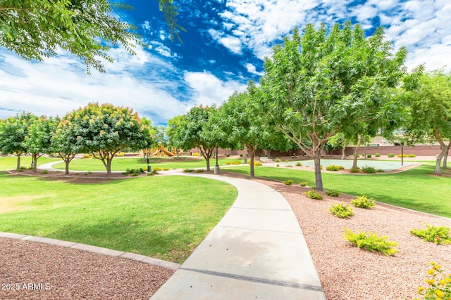 view of community featuring a yard