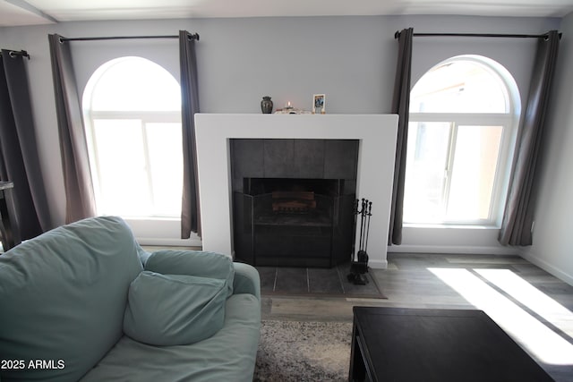 living room featuring hardwood / wood-style flooring, a wealth of natural light, and a fireplace