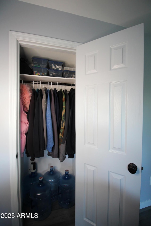 view of closet