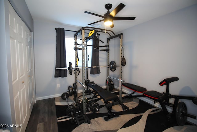 exercise area featuring hardwood / wood-style floors and ceiling fan