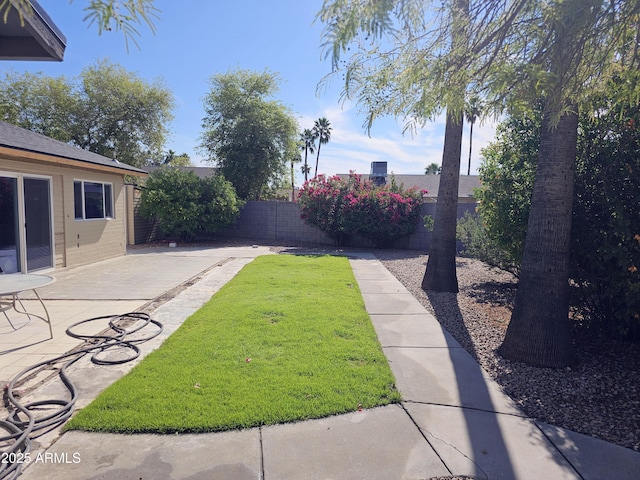 view of yard with a patio area and a fenced backyard