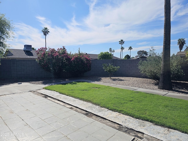 view of yard with a fenced backyard and a patio area