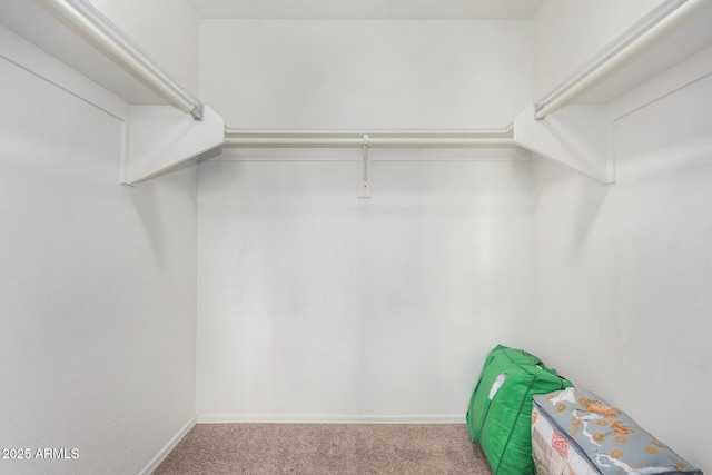 spacious closet featuring light carpet