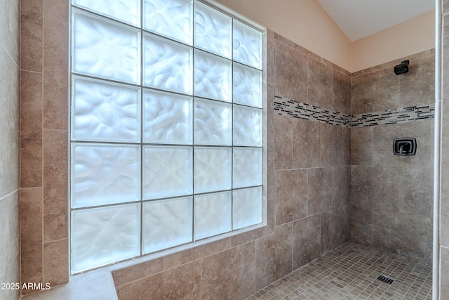 490 W Encinas St, Gilbert, AZ 85233 - full bath featuring a tile shower and vaulted ceiling