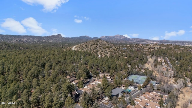 bird's eye view with a mountain view and a view of trees