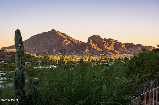 view of mountain feature