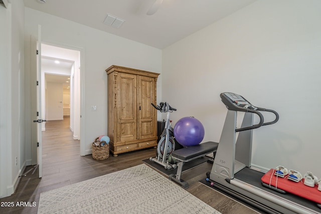 workout room featuring dark hardwood / wood-style floors