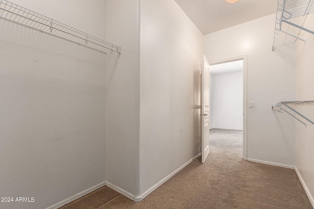 spacious closet with carpet flooring