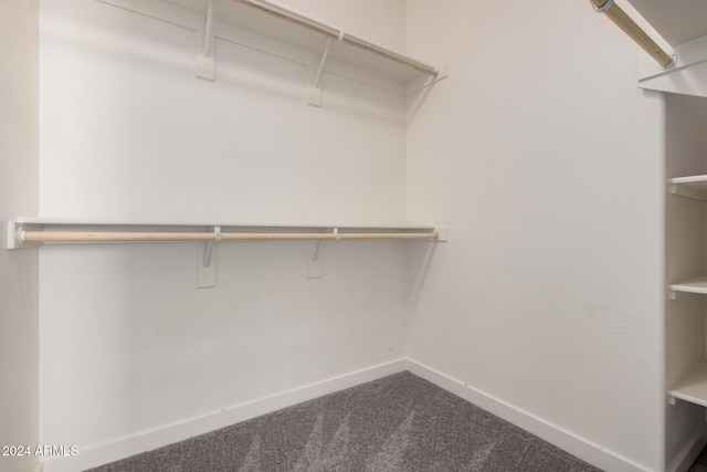 spacious closet with carpet floors