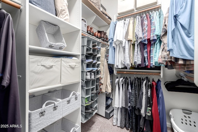 spacious closet featuring carpet