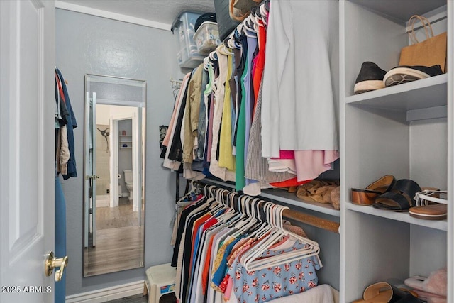 view of walk in closet