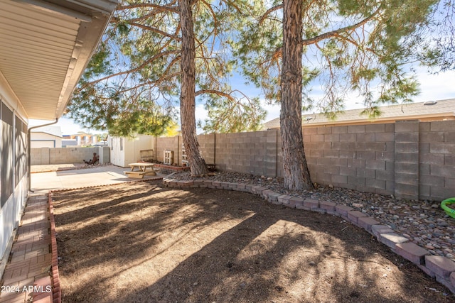 view of yard featuring a patio area and a storage unit