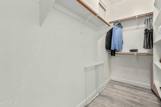 spacious closet featuring wood finished floors