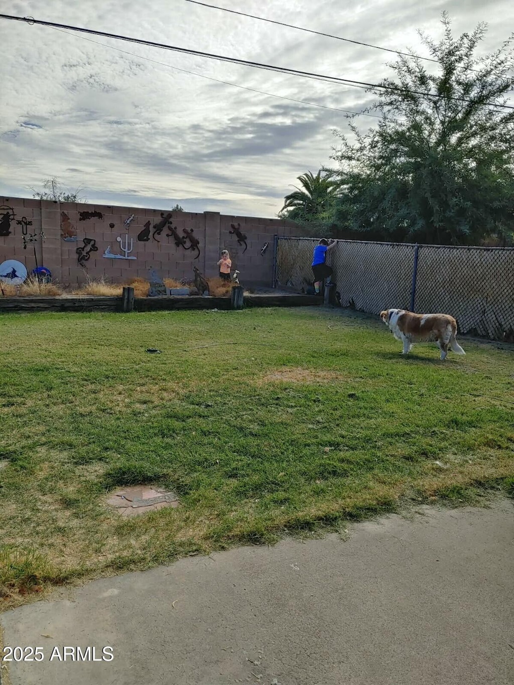 view of yard with fence