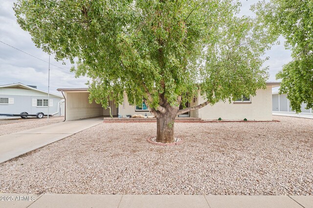 5410 E University Dr, Mesa, AZ 85205 - view of property hidden behind natural elements with a carport and concrete driveway