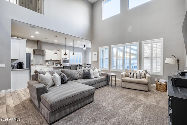 living room with light hardwood / wood-style flooring and a high ceiling