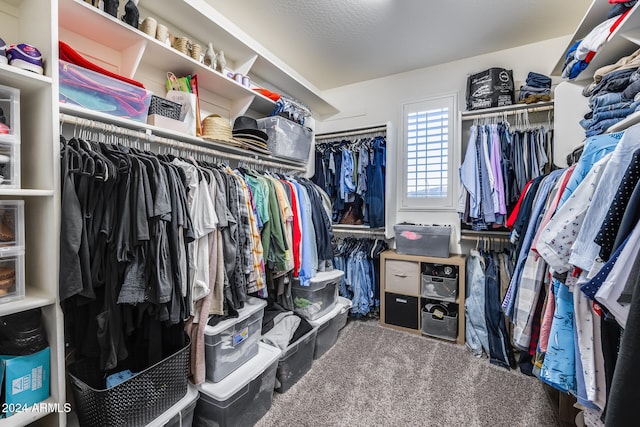 walk in closet featuring carpet flooring