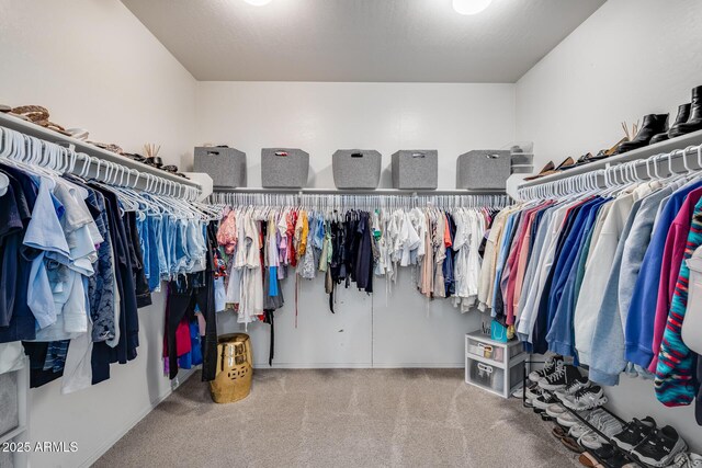 walk in closet featuring carpet floors
