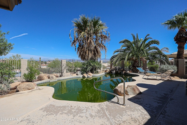 view of swimming pool with a patio