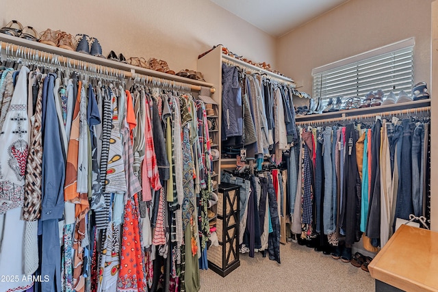 walk in closet with carpet