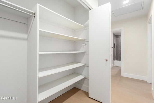 17040 N 39th Ave, Glendale, AZ 85308 - spacious closet with light wood finished floors