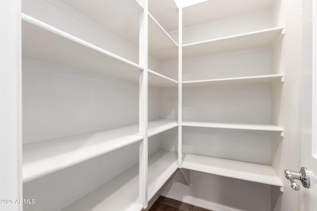 5541 W Desperado Way, Phoenix, AZ 85083 - view of pantry