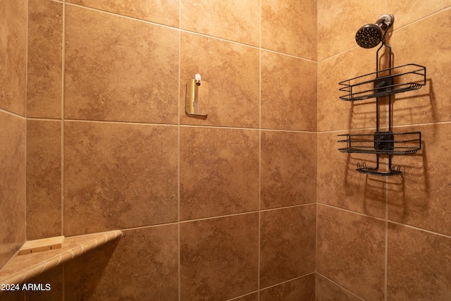 interior details with tiled shower