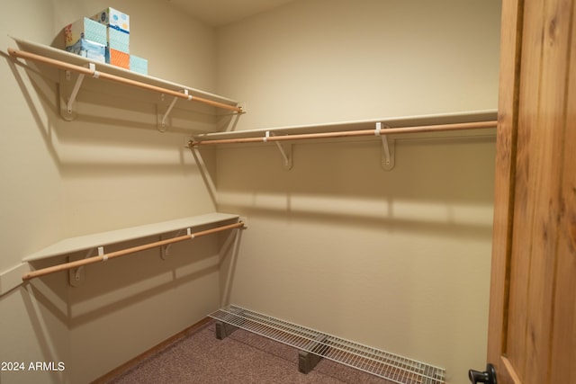 walk in closet with carpet floors