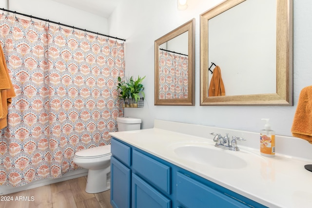 bathroom featuring toilet, vanity, a shower with curtain, and wood finished floors