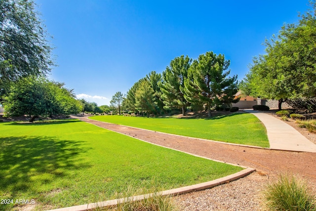 view of home's community with a lawn