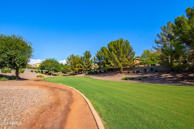 view of community featuring a lawn