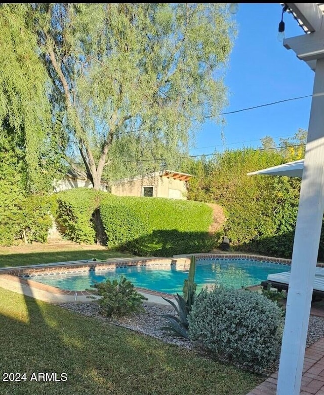 view of pool featuring a lawn