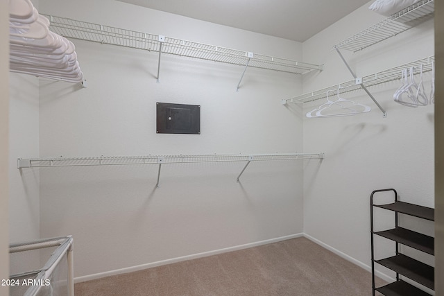 spacious closet with electric panel and carpet