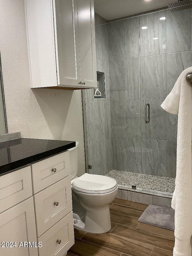 bathroom with vanity, toilet, and a shower with shower door