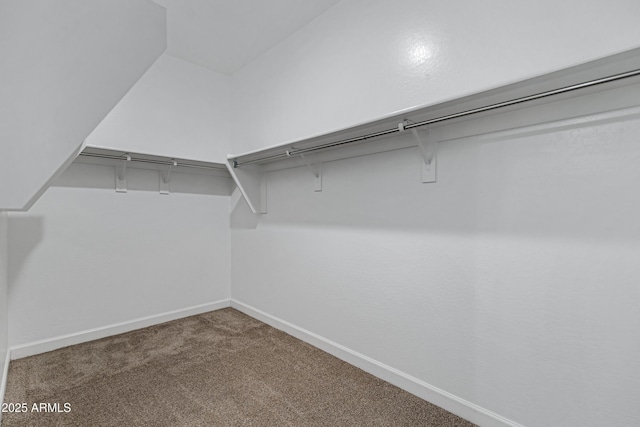 29402 W Mitchell Ave, Buckeye, AZ 85396 - walk in closet featuring carpet flooring