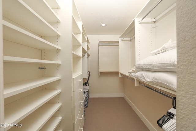 walk in closet featuring light colored carpet