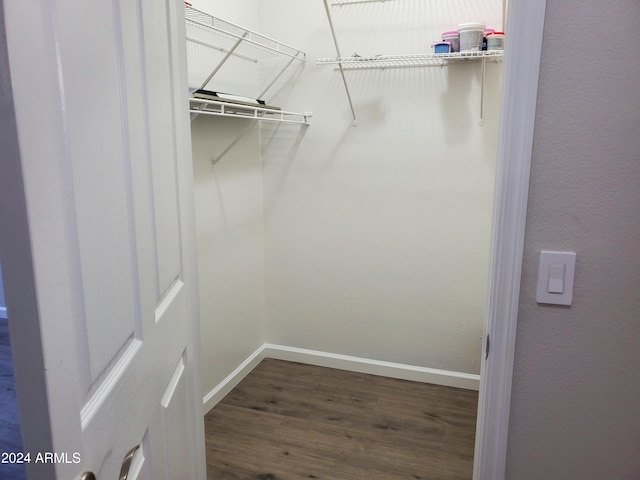 spacious closet with wood-type flooring