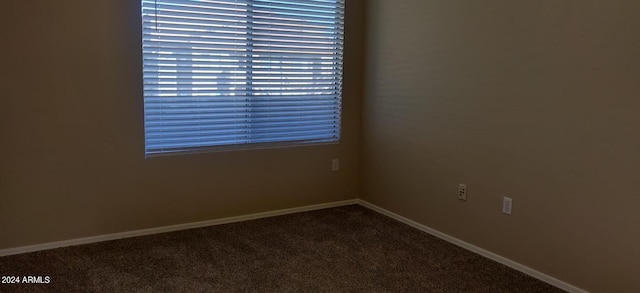 spare room with carpet